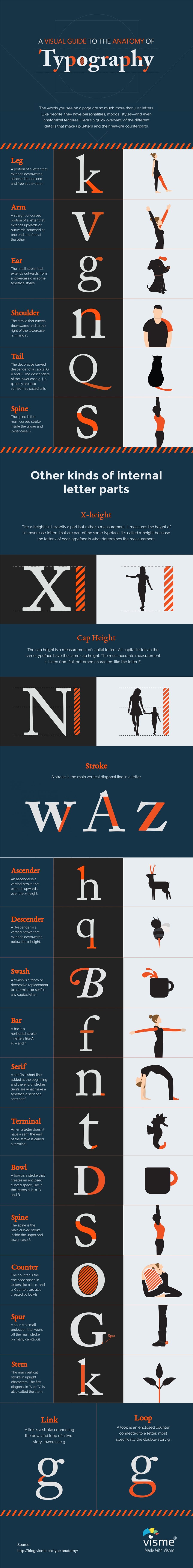 Design Guide: How To Understand Typography